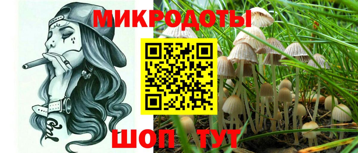Мценск  Псилоцибиновые грибы мицелий  Вход с VPN 